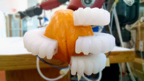 Soft Robotics: Examples, Research and Applications - Robotics24 Blog